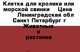 Клетка для кролика или морской свинки. › Цена ­ 500 - Ленинградская обл., Санкт-Петербург г. Животные и растения » Грызуны и Рептилии   . Ленинградская обл.